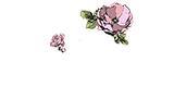 Muse Floral